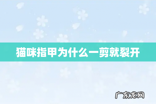 猫咪指甲为什么一剪就裂开