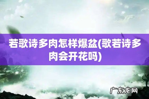 歌若诗多肉会开花吗 若歌诗多肉怎样爆盆