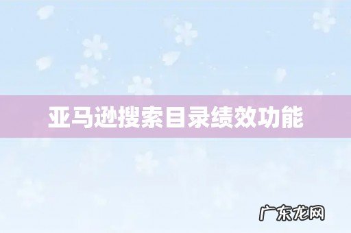 亚马逊搜索目录绩效功能