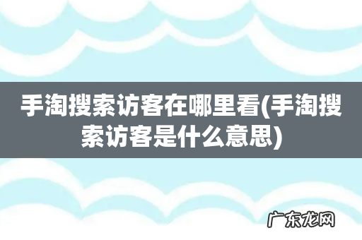 手淘搜索访客是什么意思 手淘搜索访客在哪里看