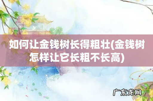 金钱树怎样让它长粗不长高 如何让金钱树长得粗壮