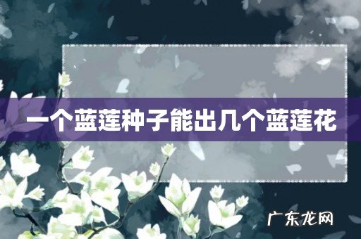 一个蓝莲种子能出几个蓝莲花