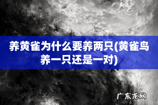 黄雀鸟养一只还是一对 养黄雀为什么要养两只