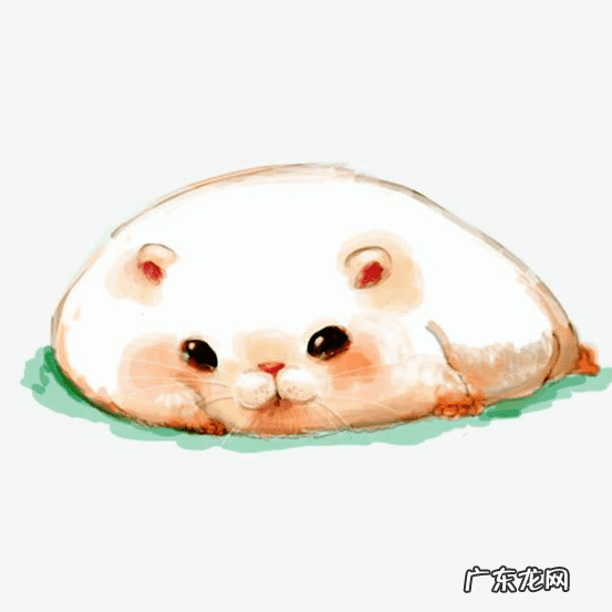 我爱原味卫生巾 原味卫生巾爱好