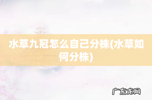 水草如何分株 水草九冠怎么自己分株