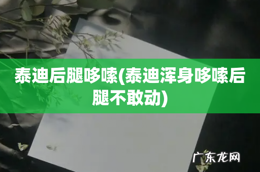 泰迪浑身哆嗦后腿不敢动 泰迪后腿哆嗦