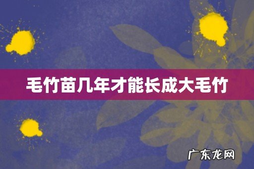 毛竹苗几年才能长成大毛竹