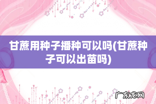 甘蔗种子可以出苗吗 甘蔗用种子播种可以吗