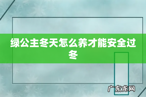 绿公主冬天怎么养才能安全过冬