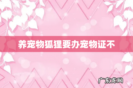 养宠物狐狸要办宠物证不