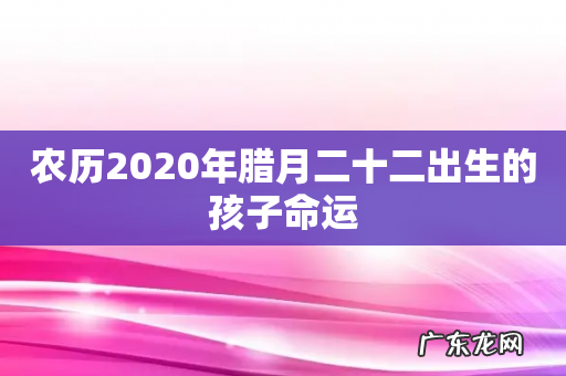 农历2020年腊月二十二出生的孩子命运