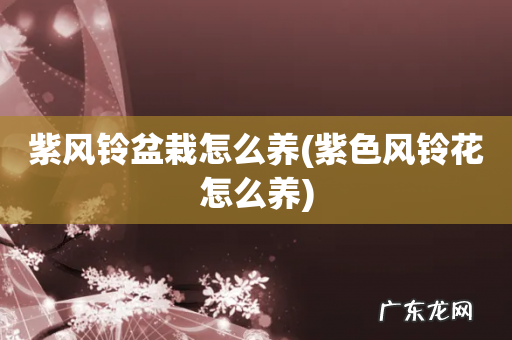 紫色风铃花怎么养 紫风铃盆栽怎么养