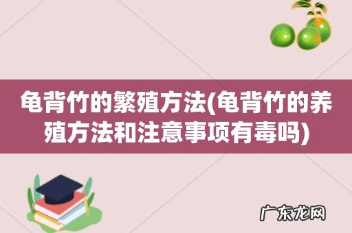 龟背竹的养殖方法和注意事项有毒吗 龟背竹的繁殖方法