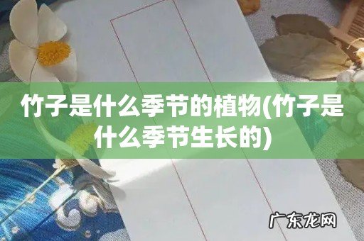 竹子是什么季节生长的 竹子是什么季节的植物