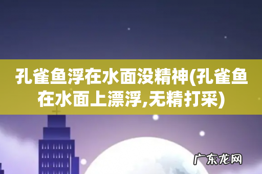 孔雀鱼在水面上漂浮,无精打采 孔雀鱼浮在水面没精神