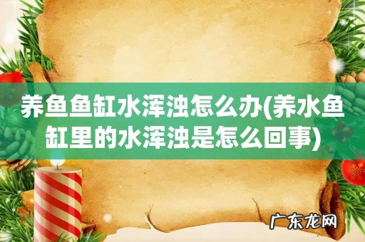 养水鱼缸里的水浑浊是怎么回事 养鱼鱼缸水浑浊怎么办