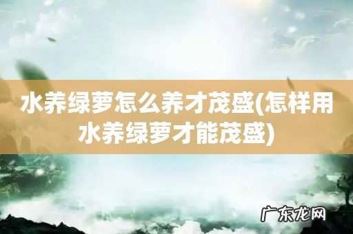 怎样用水养绿萝才能茂盛 水养绿萝怎么养才茂盛