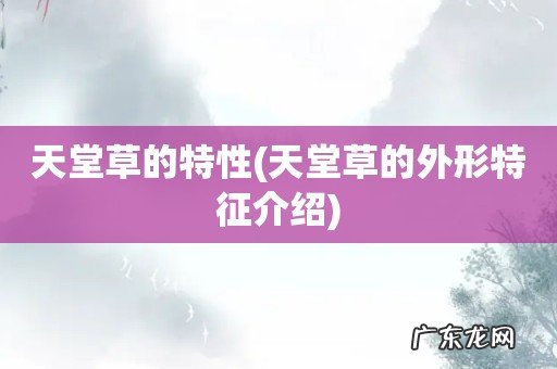 天堂草的外形特征介绍 天堂草的特性