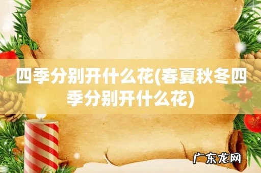 春夏秋冬四季分别开什么花 四季分别开什么花