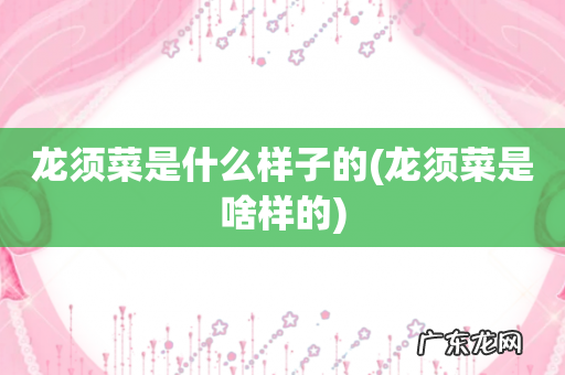 龙须菜是啥样的 龙须菜是什么样子的