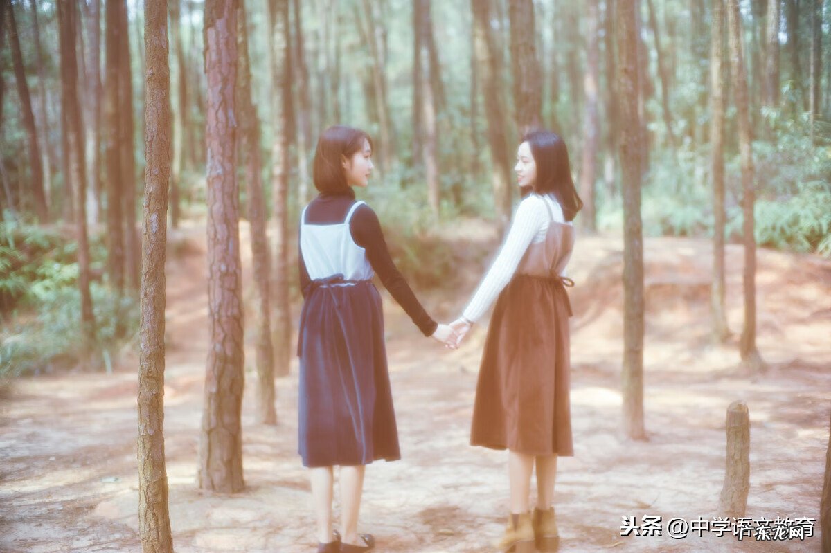 写关于友谊的作文 关于友情的作文素材