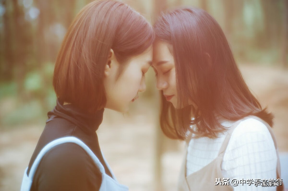 写关于友谊的作文 关于友情的作文素材