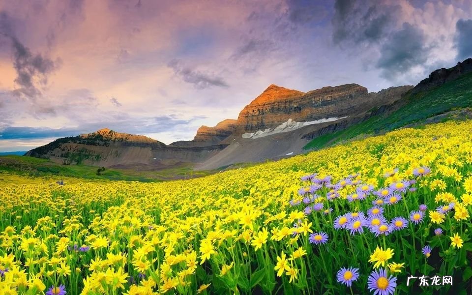 为什么人会好面子 和看风水的在一起好么