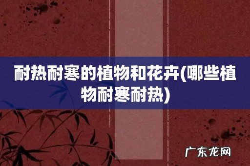 哪些植物耐寒耐热 耐热耐寒的植物和花卉