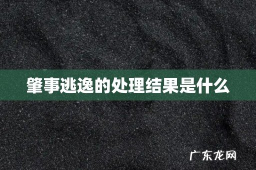 肇事逃逸的处理结果是什么