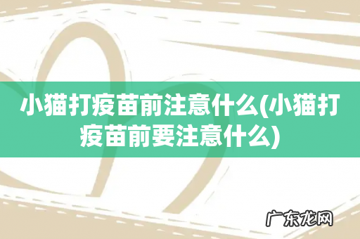 小猫打疫苗前要注意什么 小猫打疫苗前注意什么