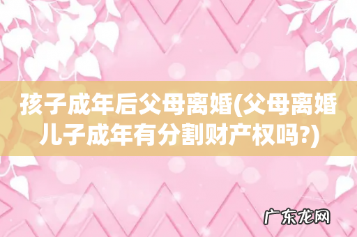 父母离婚儿子成年有分割财产权吗? 孩子成年后父母离婚