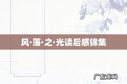风·落·之·光读后感锦集