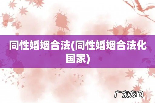 同性婚姻合法化国家 同性婚姻合法