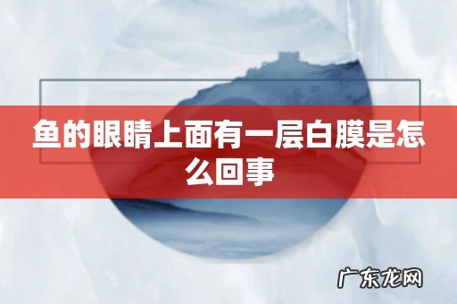 鱼的眼睛上面有一层白膜是怎么回事
