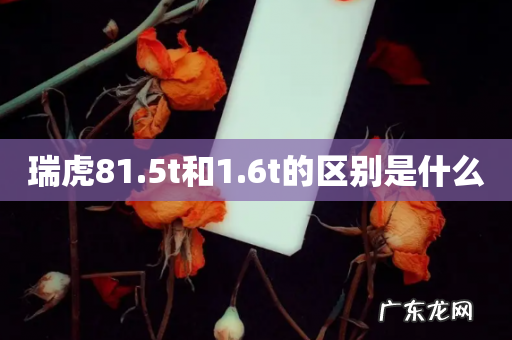 瑞虎81.5t和1.6t的区别是什么
