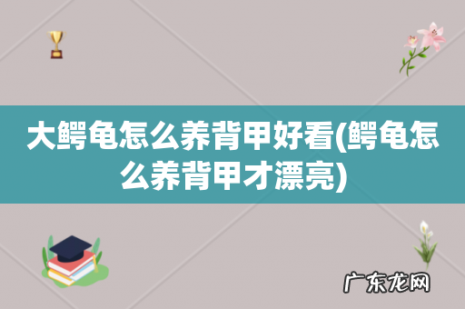 鳄龟怎么养背甲才漂亮 大鳄龟怎么养背甲好看