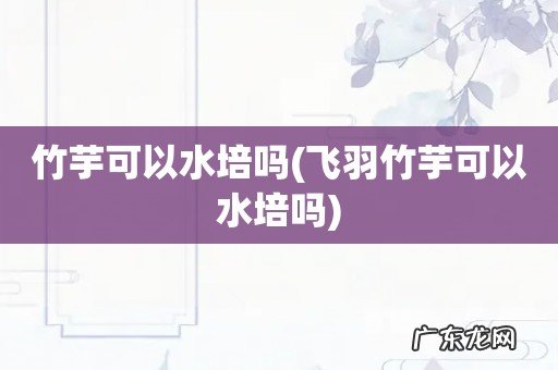 飞羽竹芋可以水培吗 竹芋可以水培吗