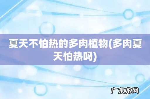 多肉夏天怕热吗 夏天不怕热的多肉植物