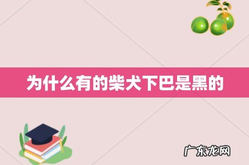 为什么有的柴犬下巴是黑的