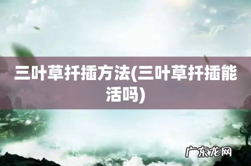 三叶草扦插能活吗 三叶草扦插方法