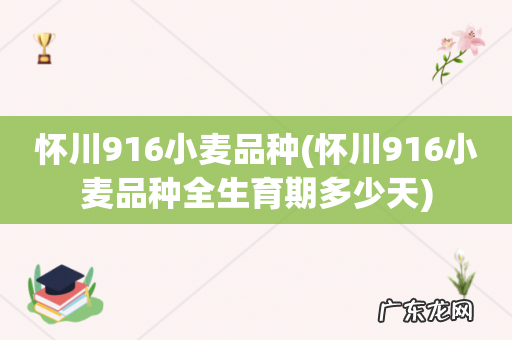 怀川916小麦品种全生育期多少天 怀川916小麦品种