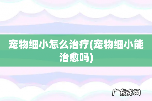 宠物细小能治愈吗 宠物细小怎么治疗