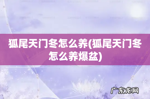 狐尾天门冬怎么养爆盆 狐尾天门冬怎么养
