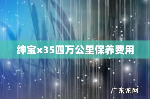 绅宝x35四万公里保养费用