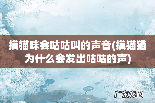 摸猫猫为什么会发出咕咕的声 摸猫咪会咕咕叫的声音