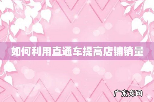 如何利用直通车提高店铺销量