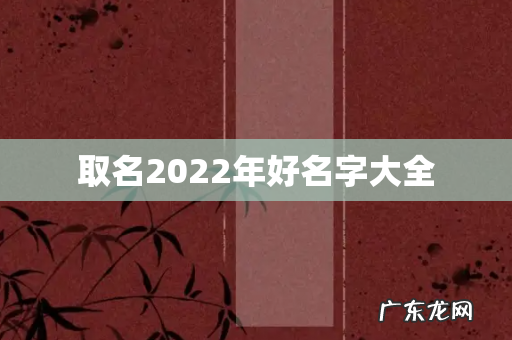取名2022年好名字大全