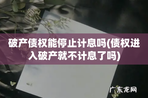 债权进入破产就不计息了吗 破产债权能停止计息吗