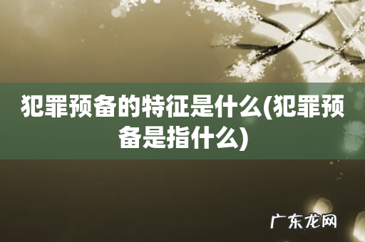犯罪预备是指什么 犯罪预备的特征是什么