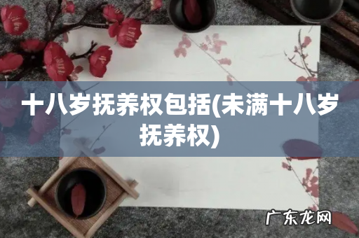 未满十八岁抚养权 十八岁抚养权包括